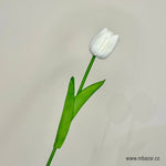 Tulip - False Flower