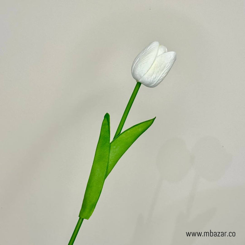 Tulip - False Flower