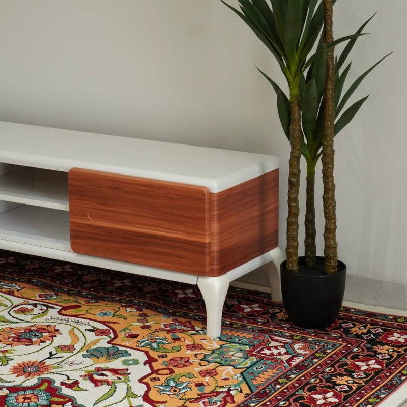 Negin Modern TV Table