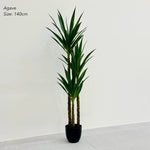 Modern Artificial Real-Looking Plants