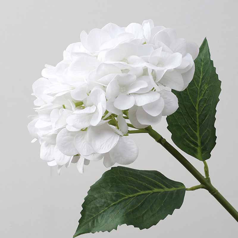 Hydrangea - False Flower