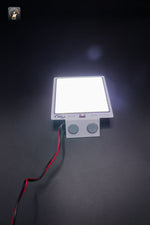 LED light COB304